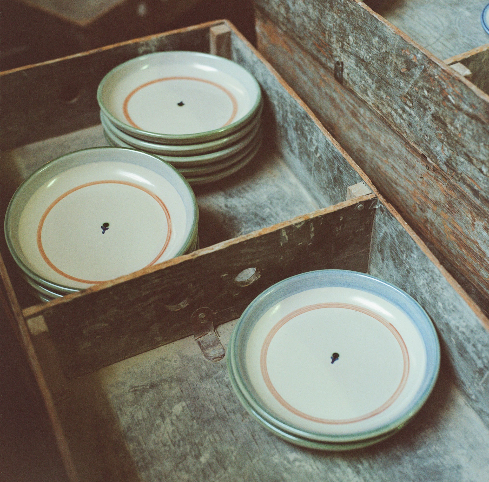 Forget-Me-Not Pasta Plate in Green