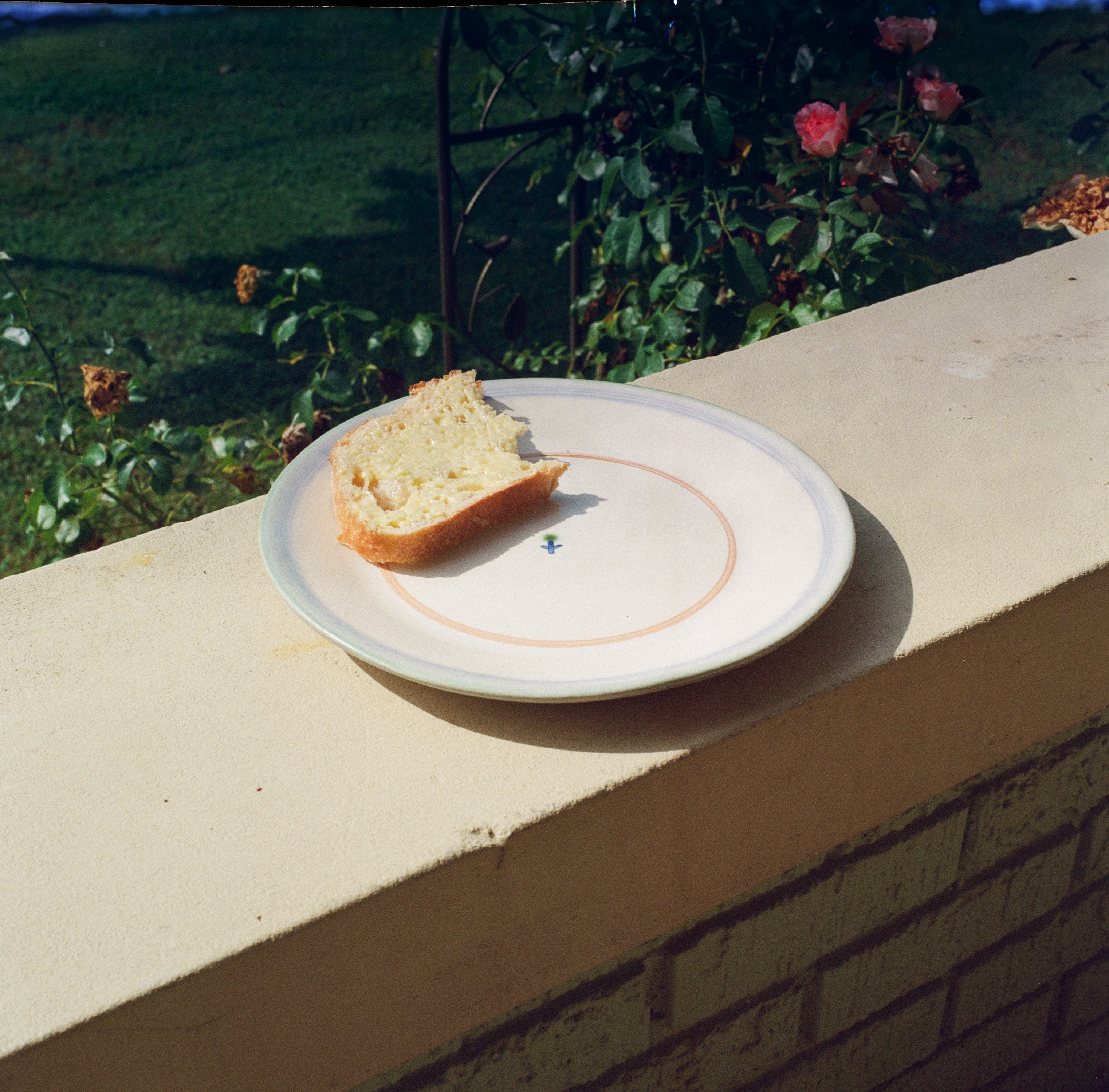 Forget-Me-Not Dinner Plate in Green