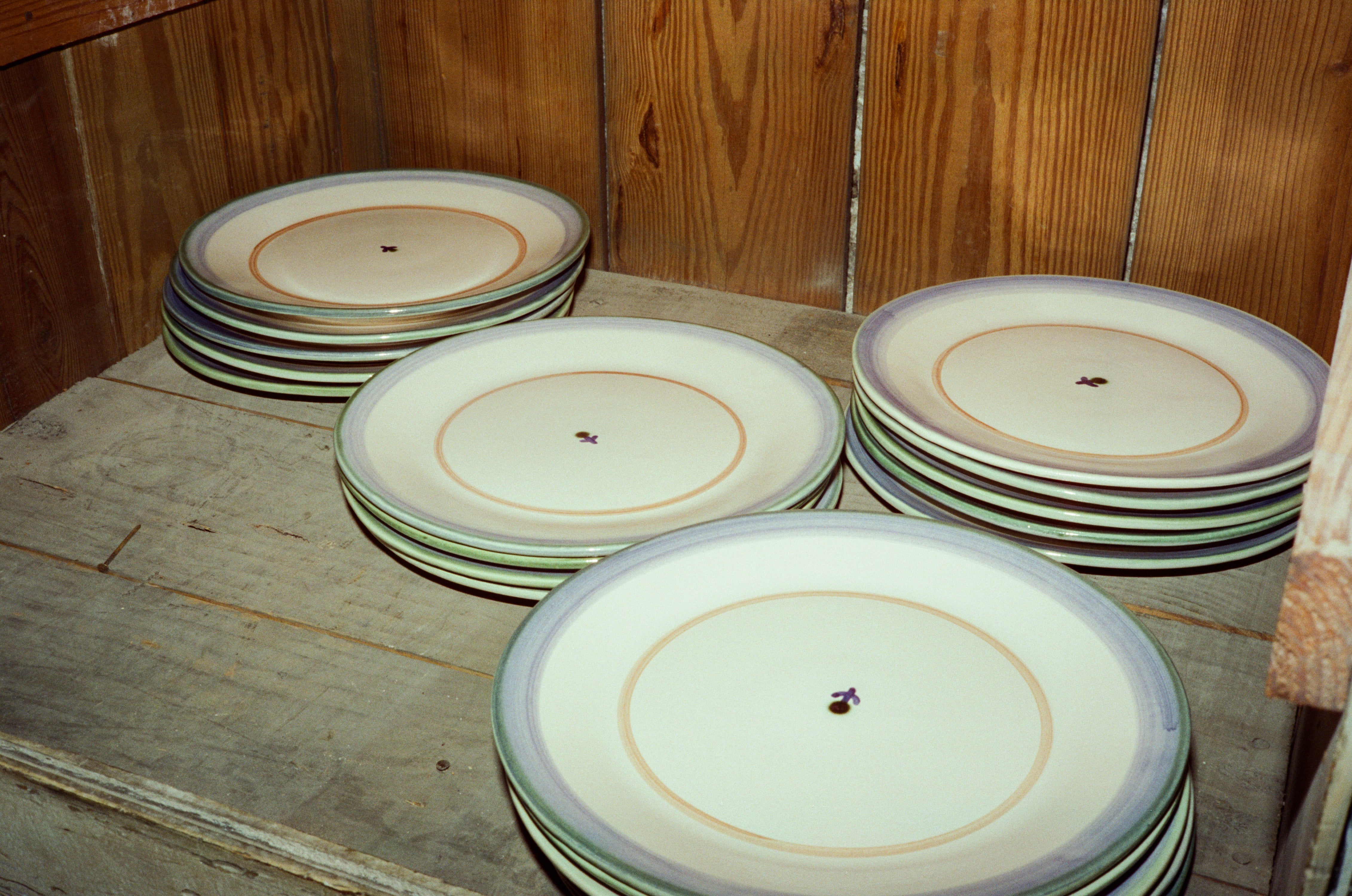 Forget-Me-Not Dinner Plate in Green
