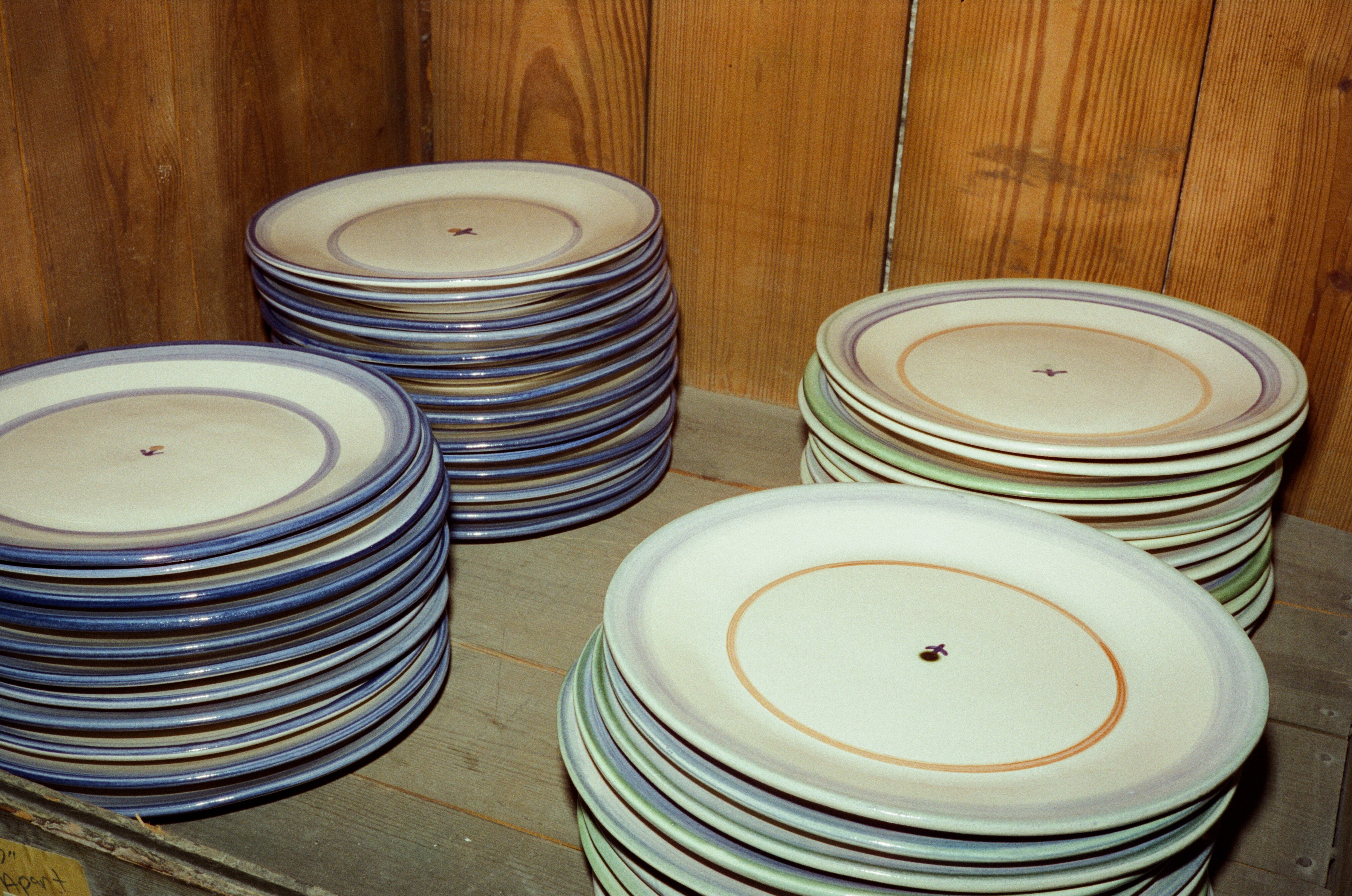 Forget-Me-Not Dinner Plate in Green