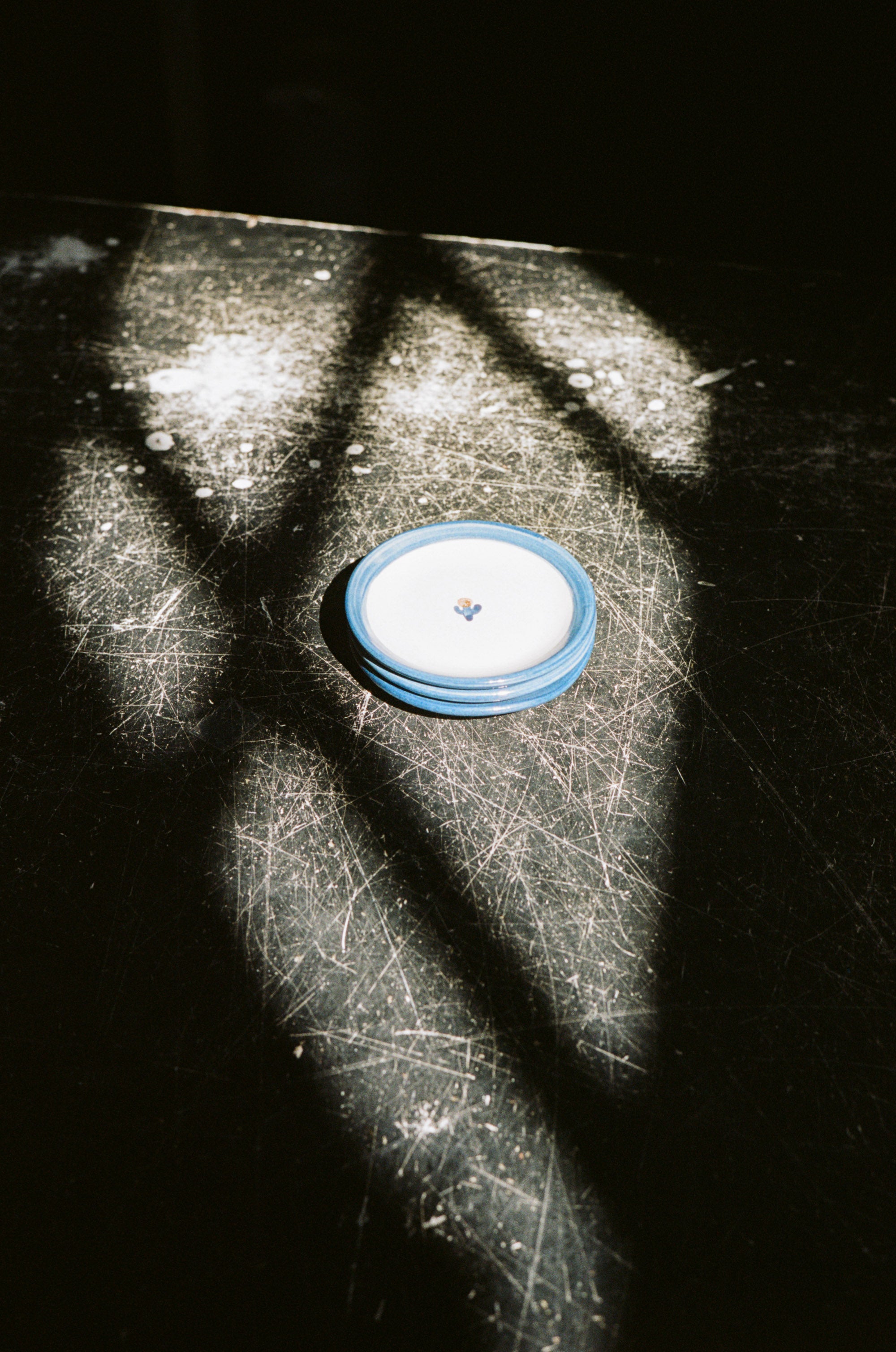 Forget-Me-Not Coaster in Blue