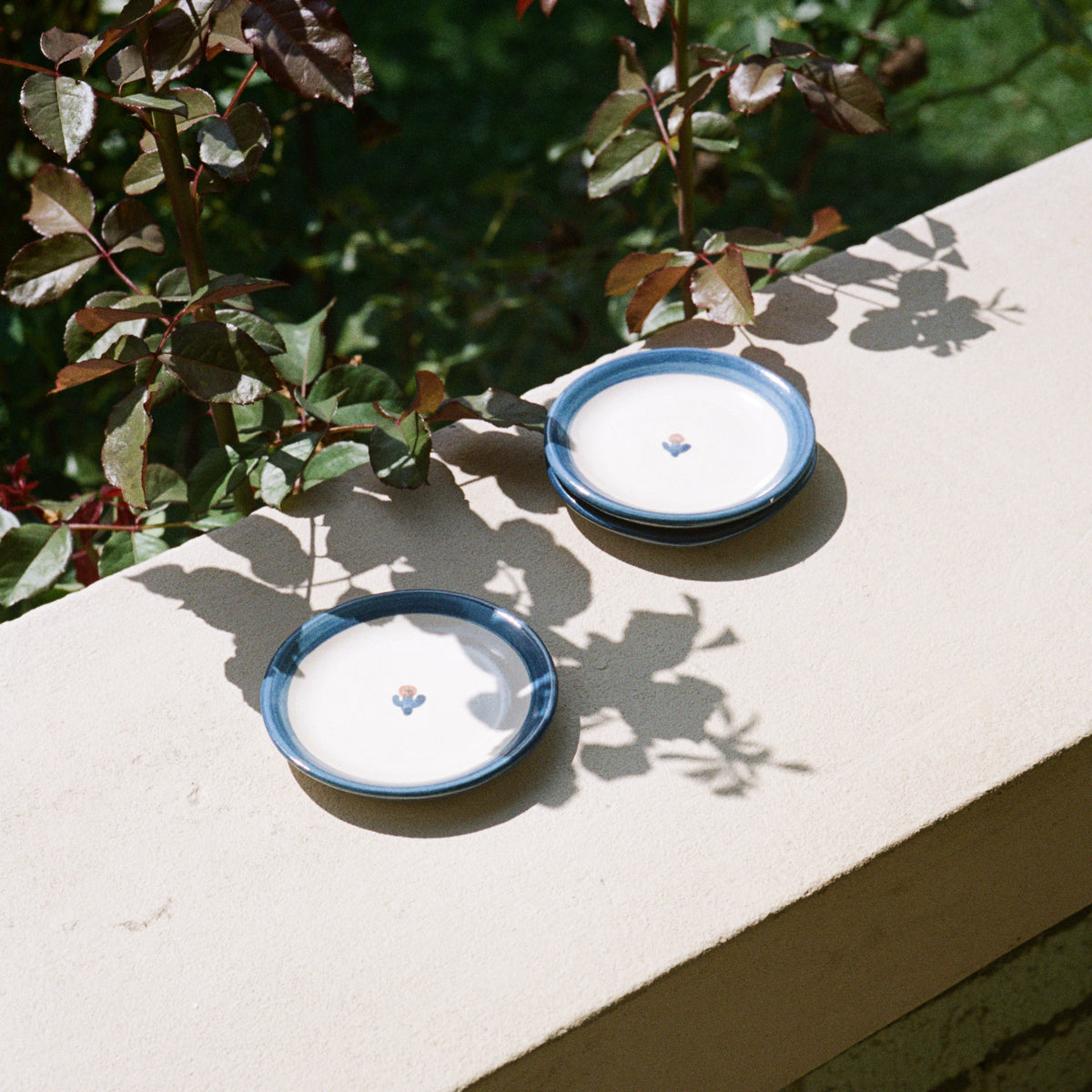 Forget-Me-Not Coaster in Blue
