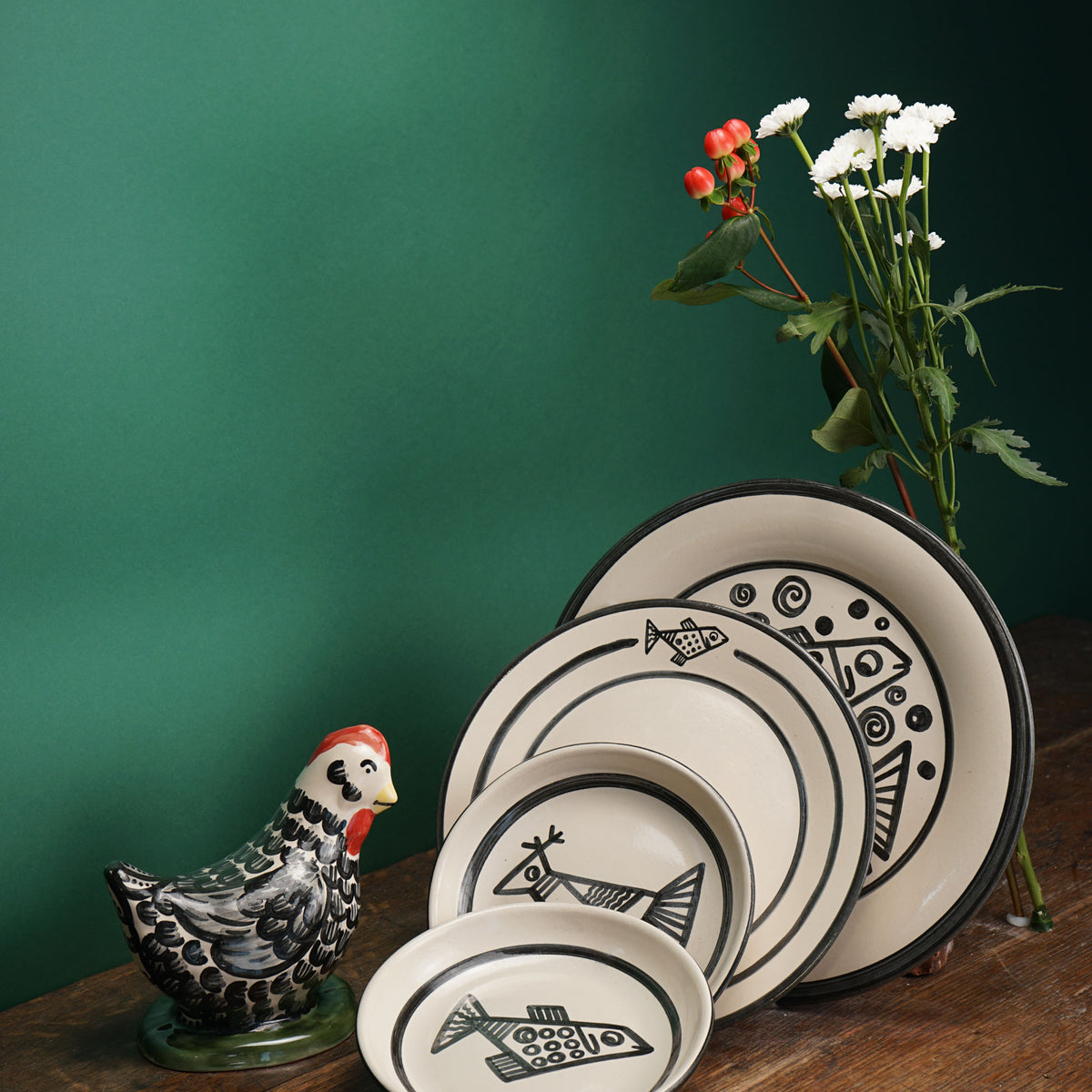 Black Feather Laying Chicken