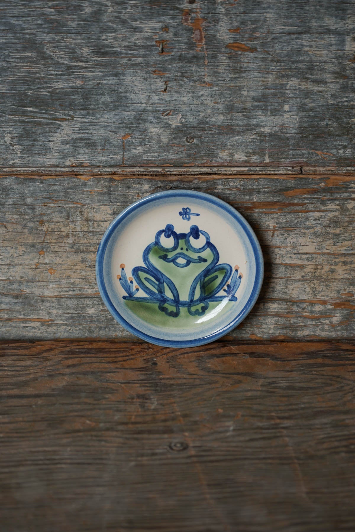Frog Coaster
