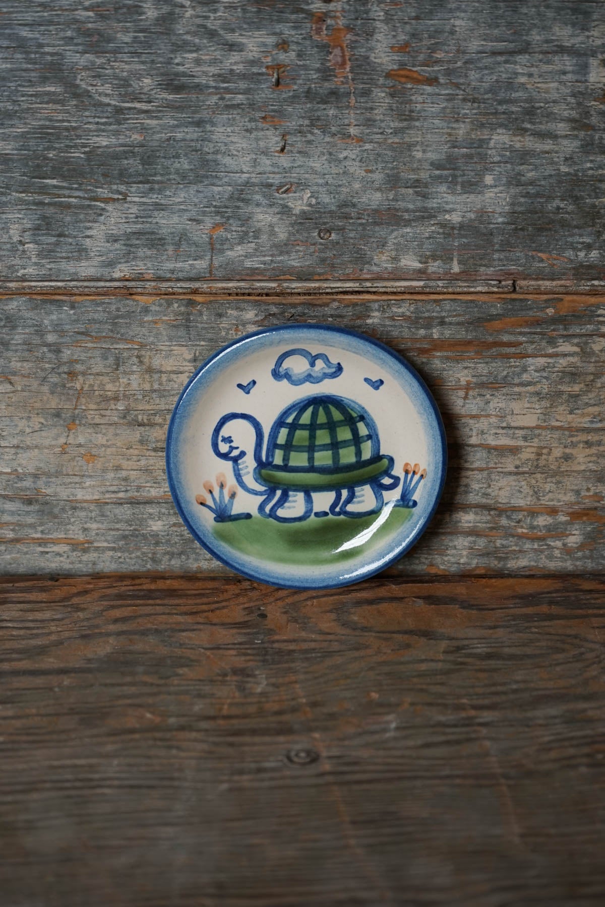 Turtle Coaster