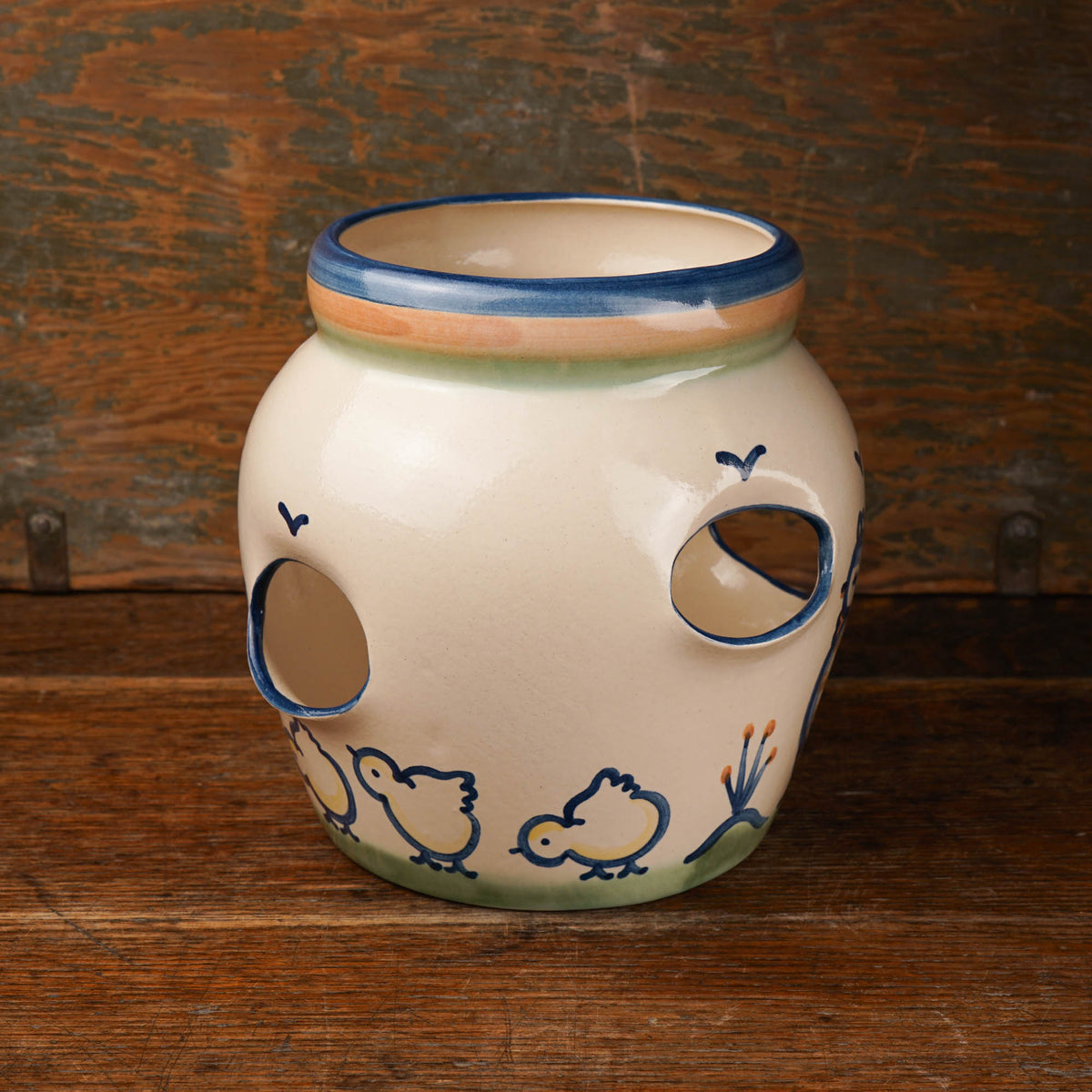 Hen & Chick Planter