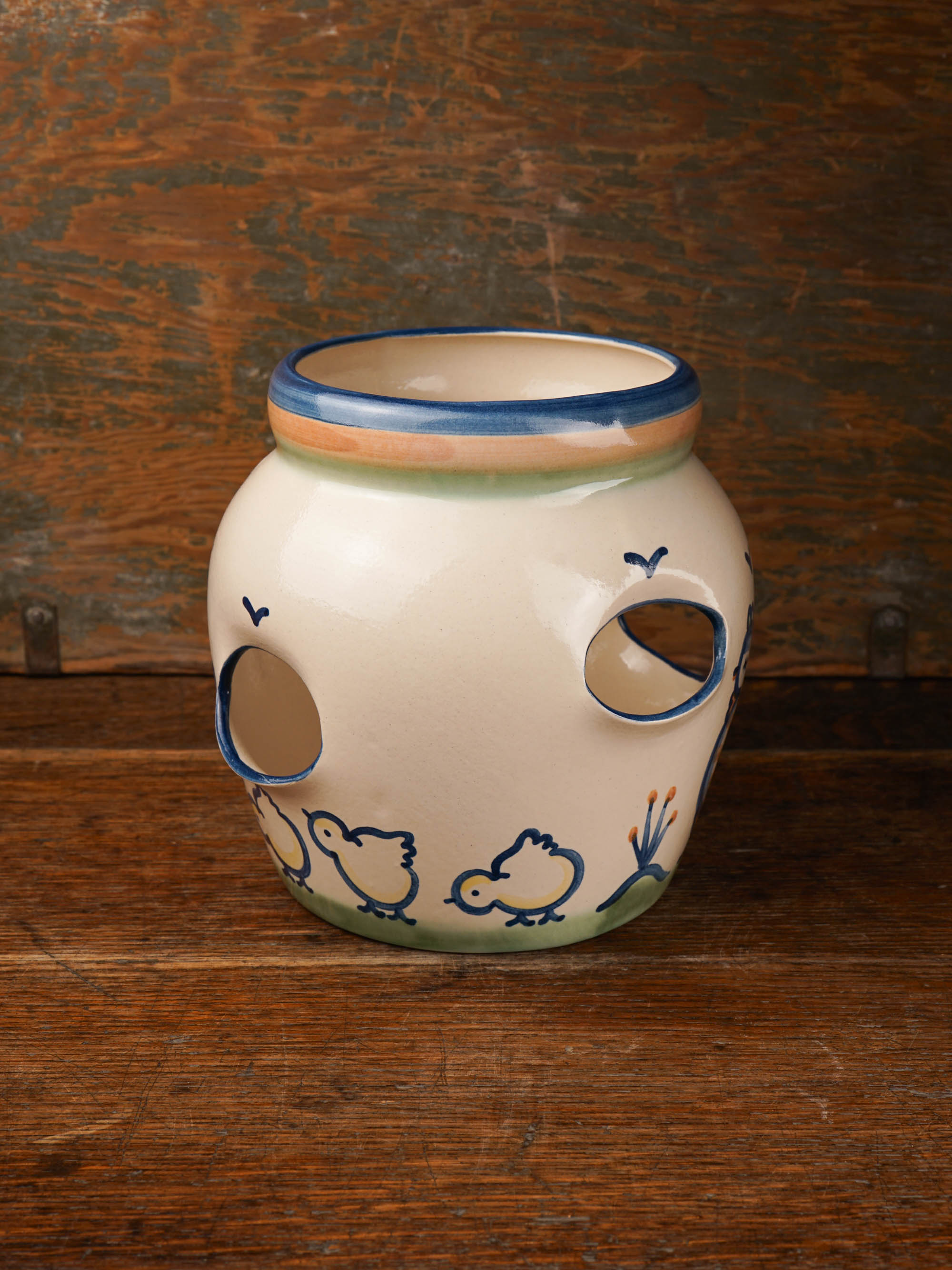 Hen & Chick Planter