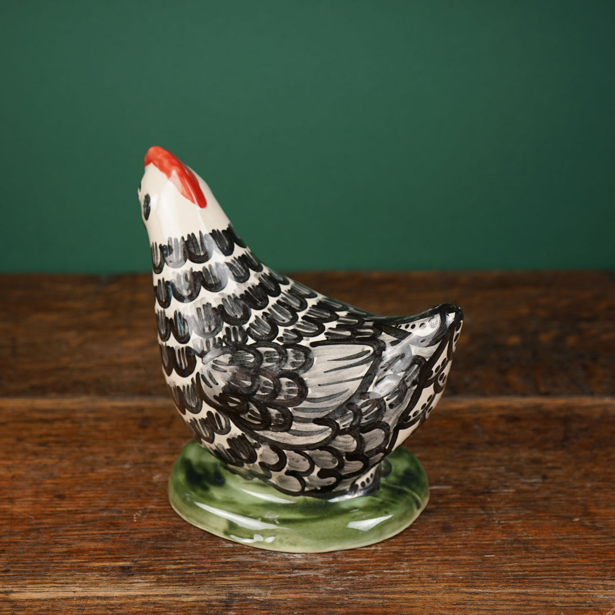 Black Feather Laying Chicken