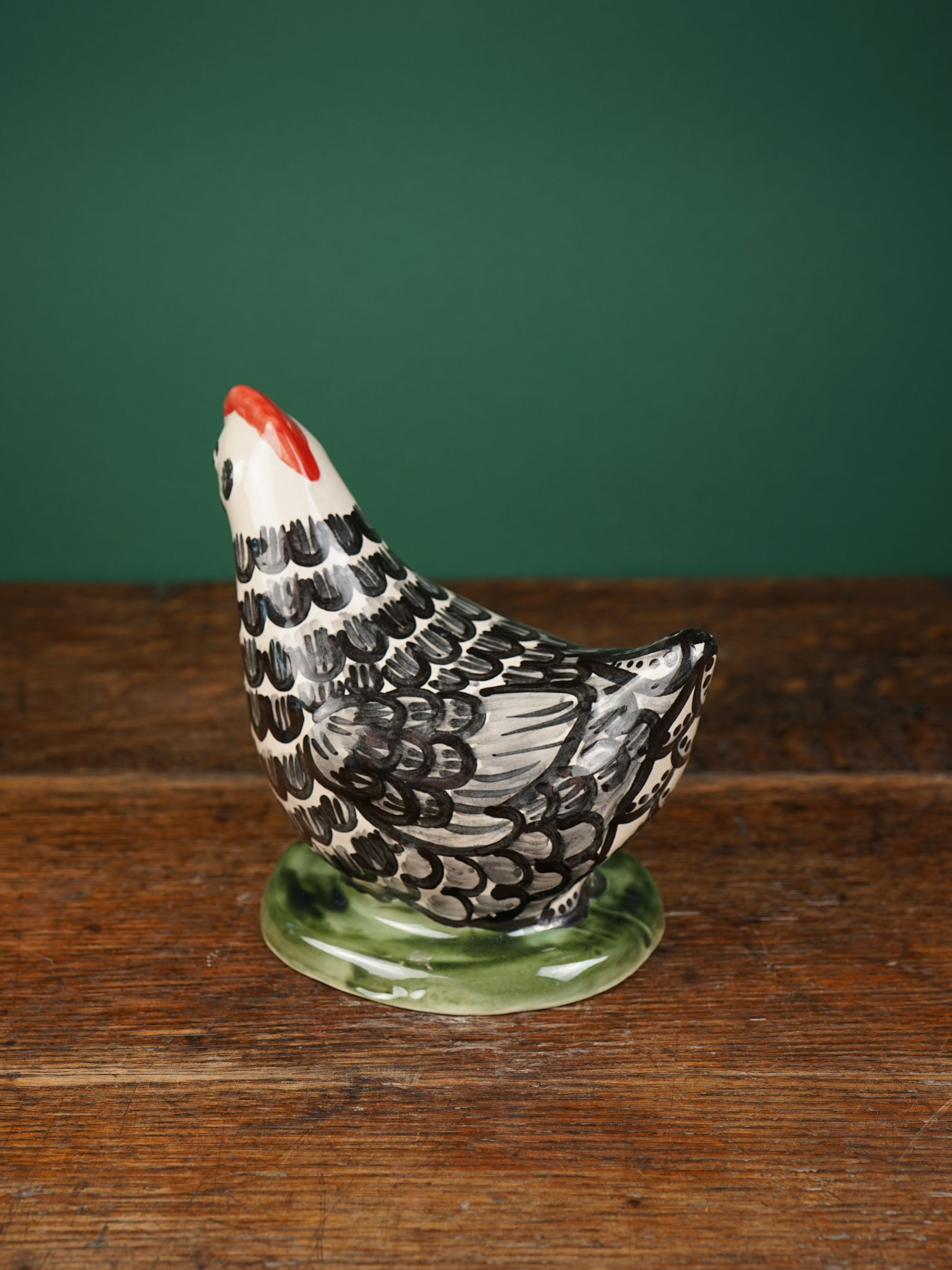 Black Feather Laying Chicken
