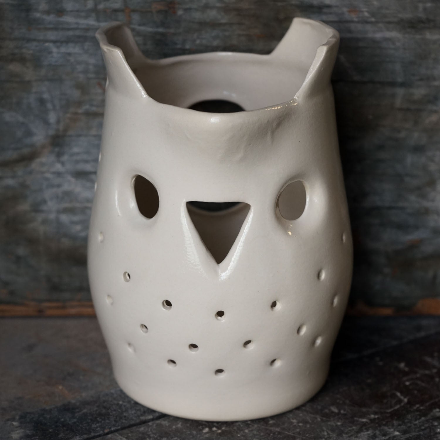 Owl Luminary - Medium - SECOND