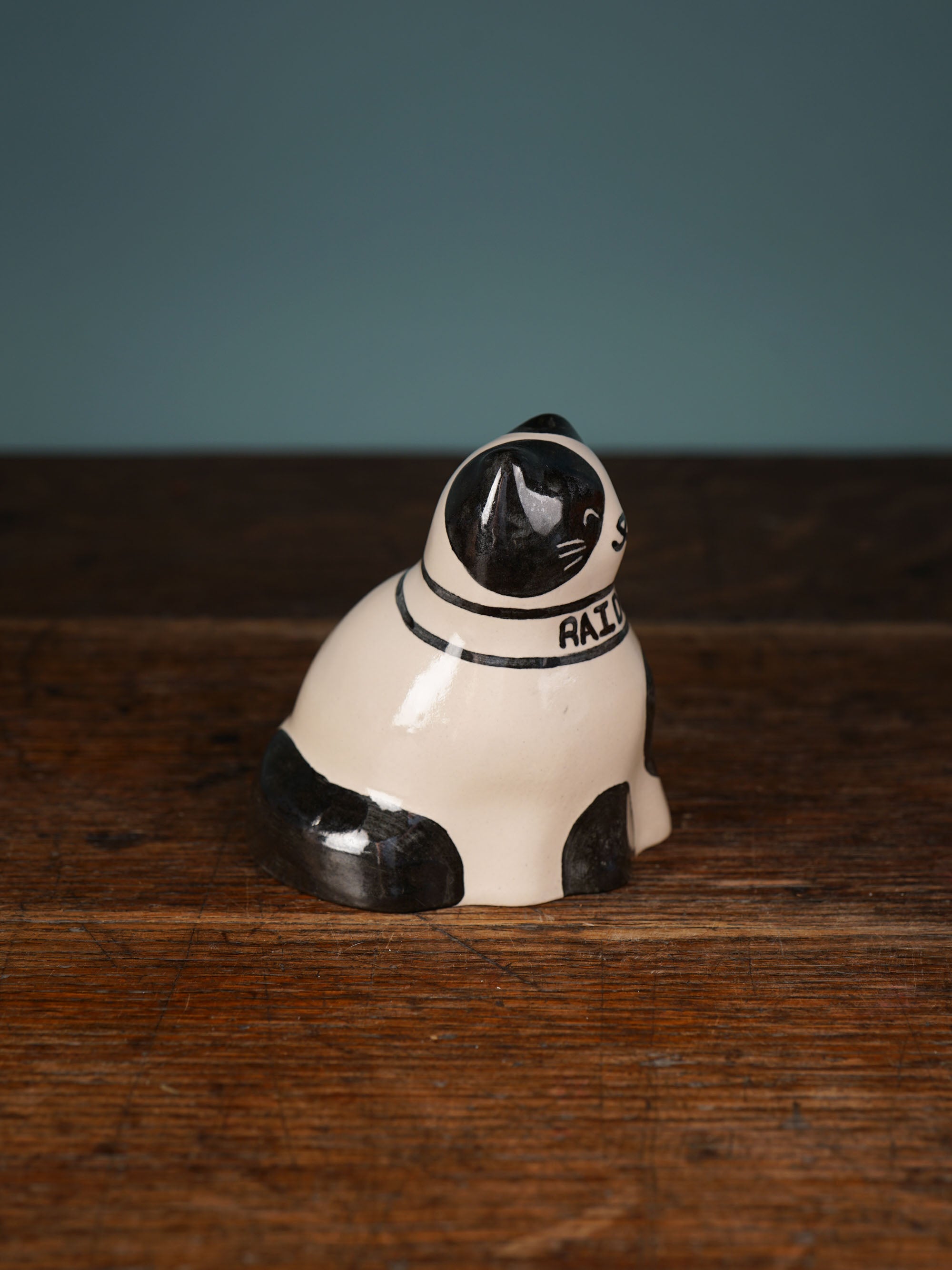 Personalized Kitten