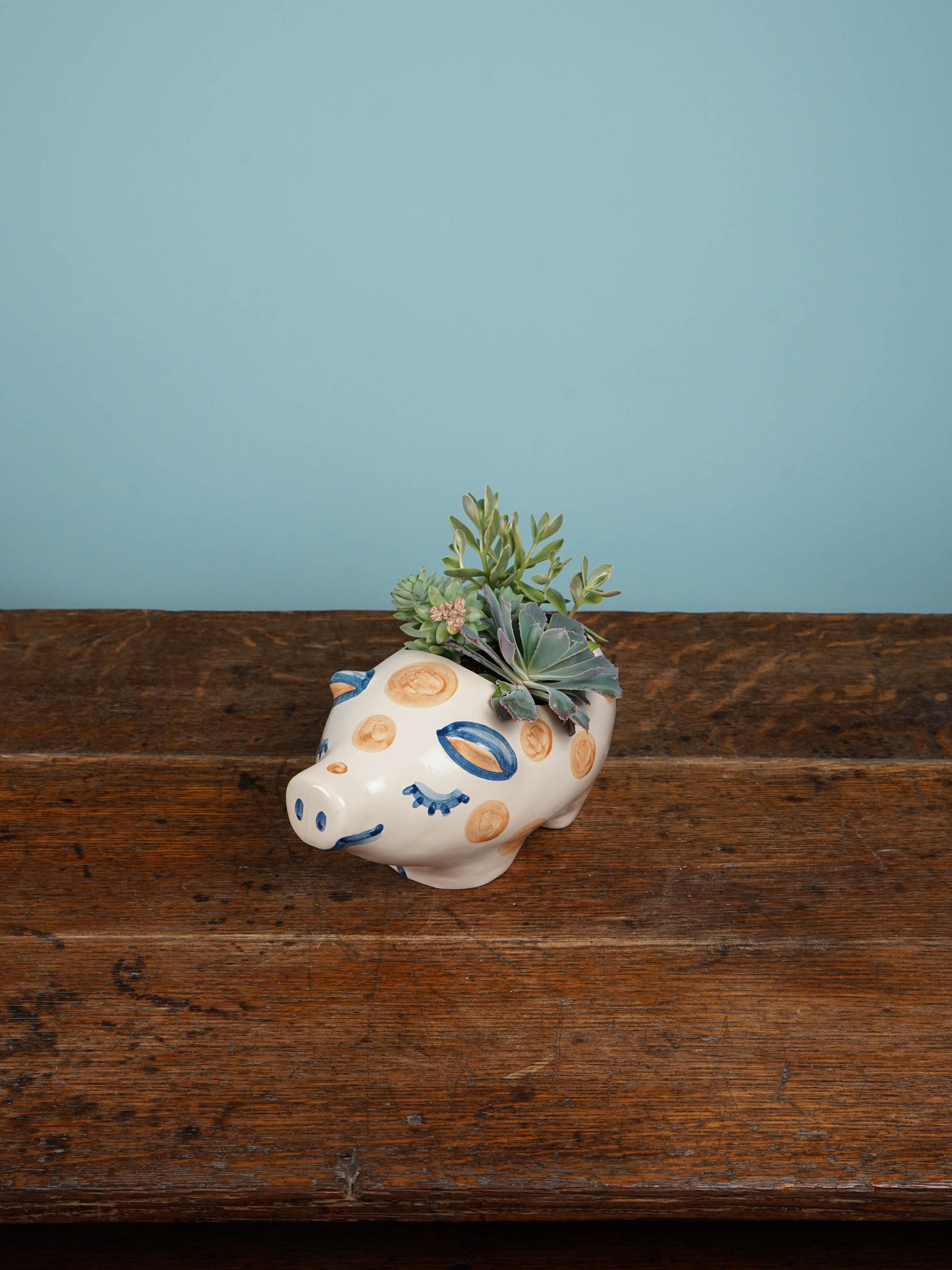Pig Planter