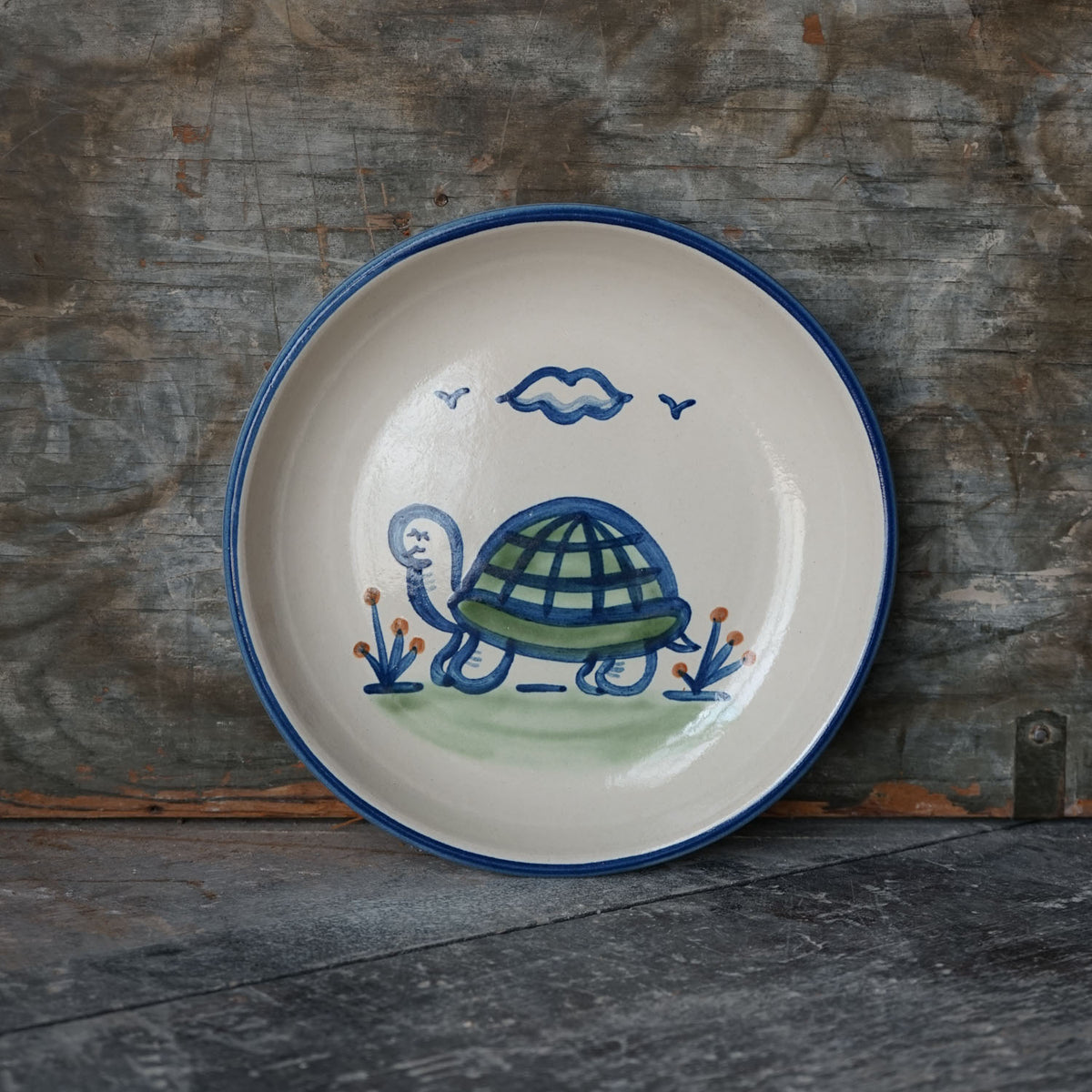 Turtle Pasta Plate