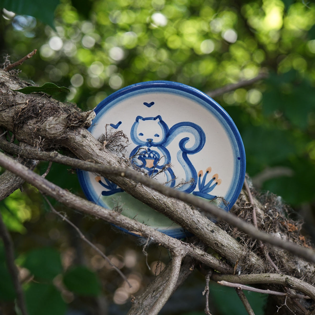 Woodland Squirrel