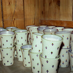 Forget-Me-Not Flare Cup in Green