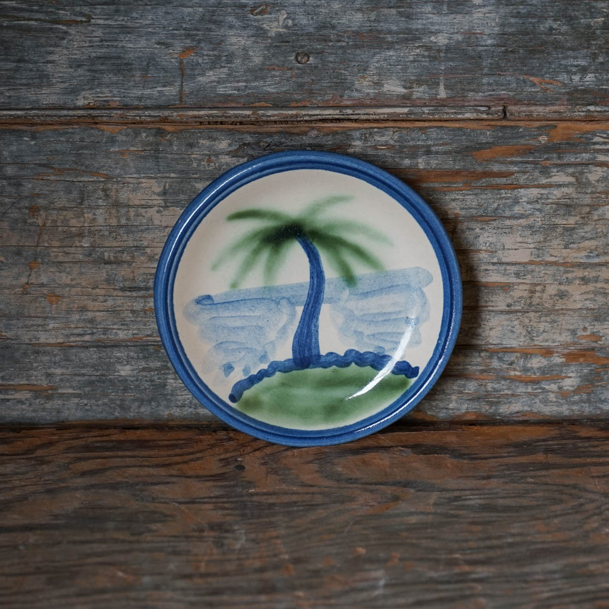 Palm Tree Coaster