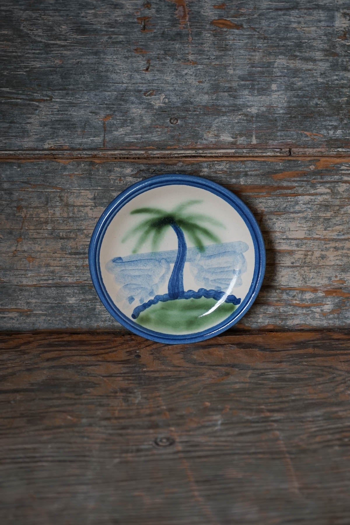 Palm Tree Coaster