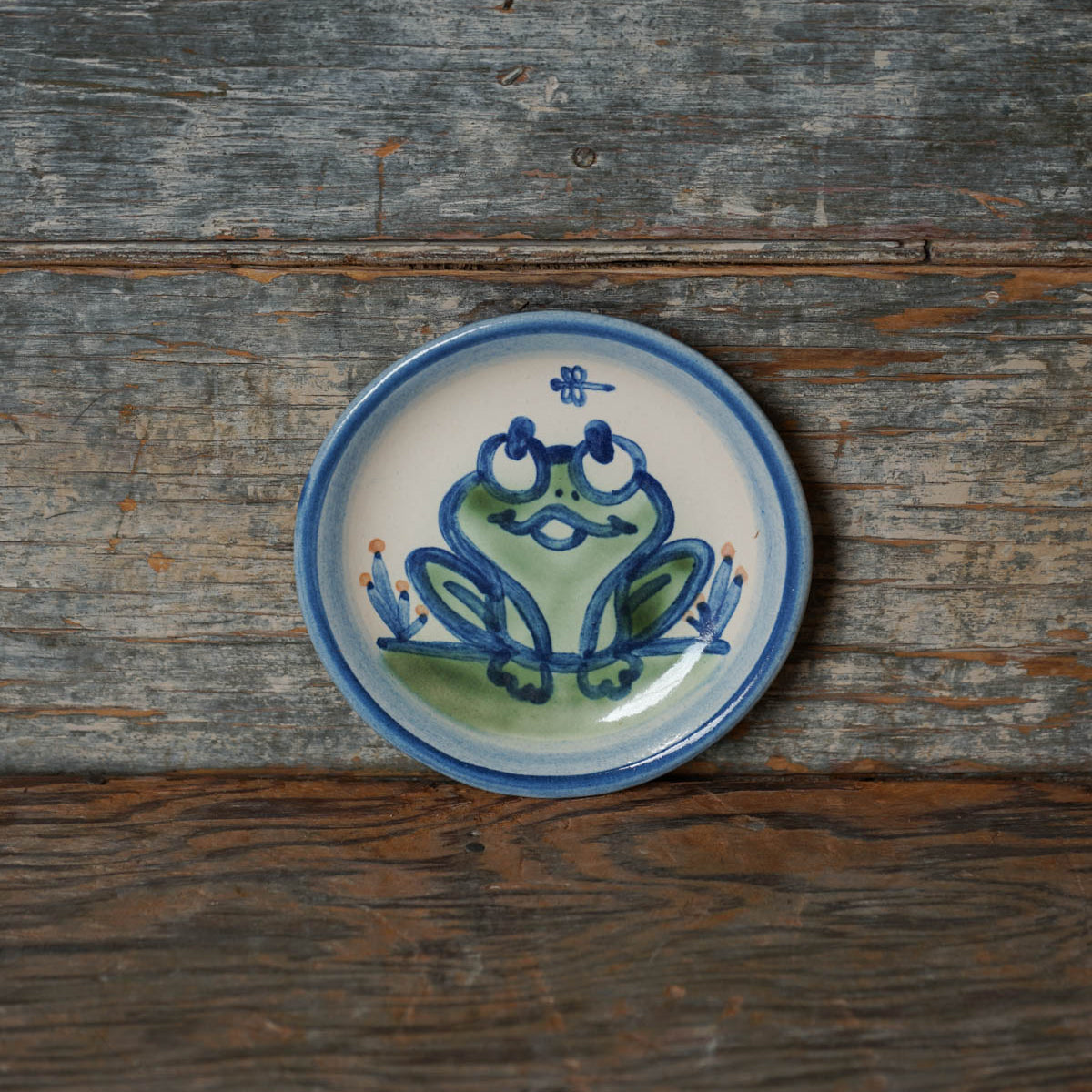 Frog Coaster