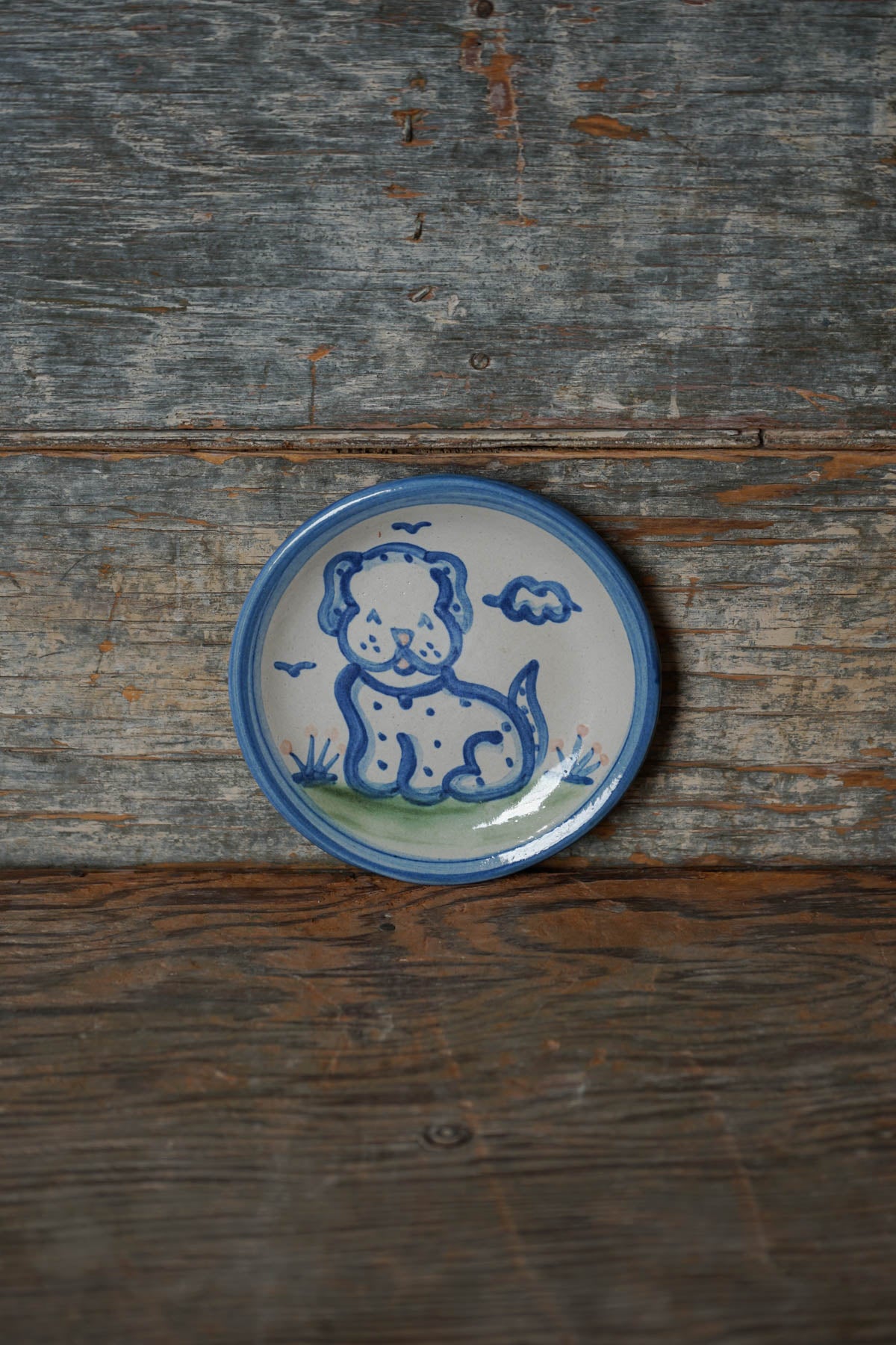 Dog Coaster