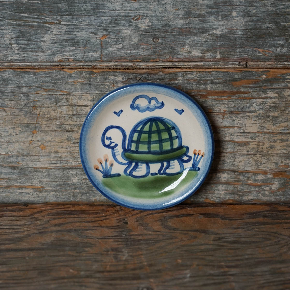 Turtle Coaster