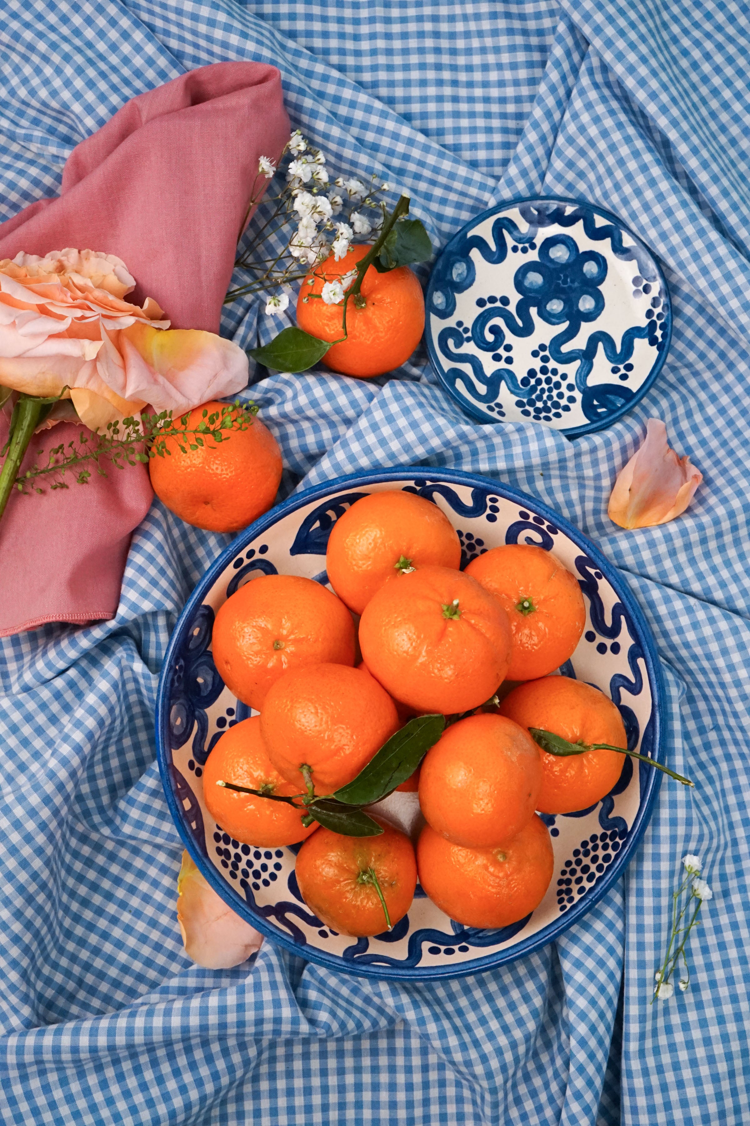 Blue Flower Coaster
