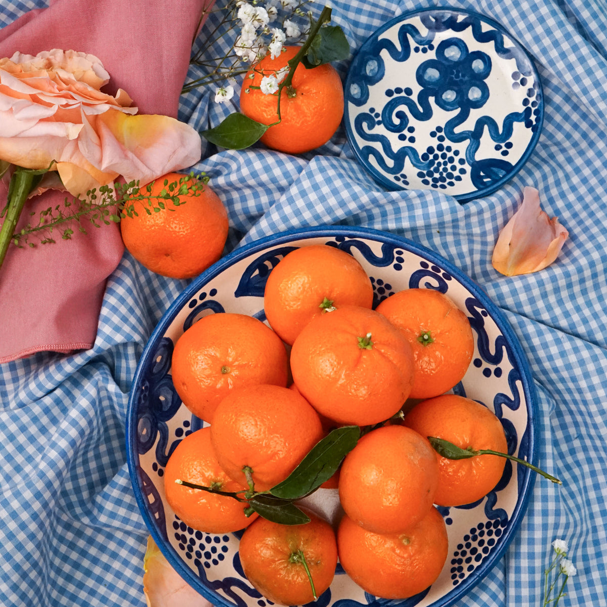 Blue Flower Coaster