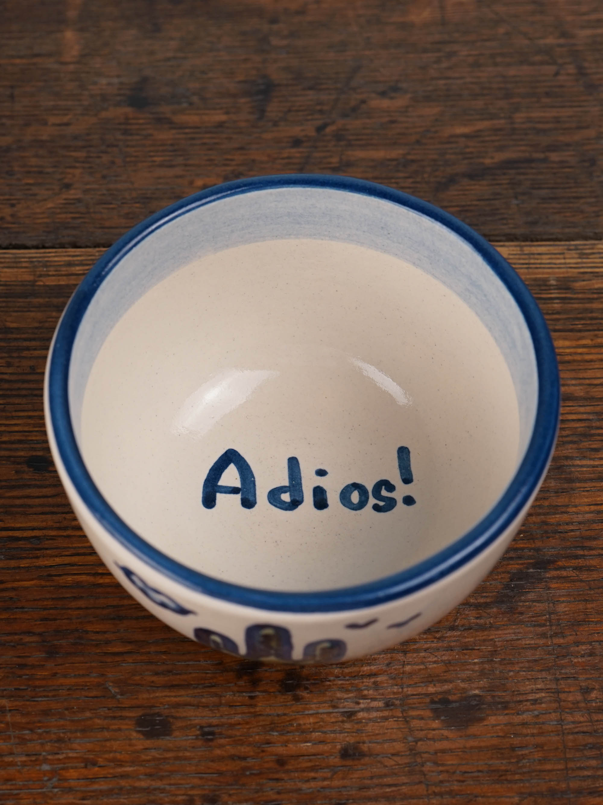 Saguaro Everything Bowl