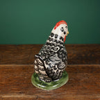 Black Feather Laying Chicken