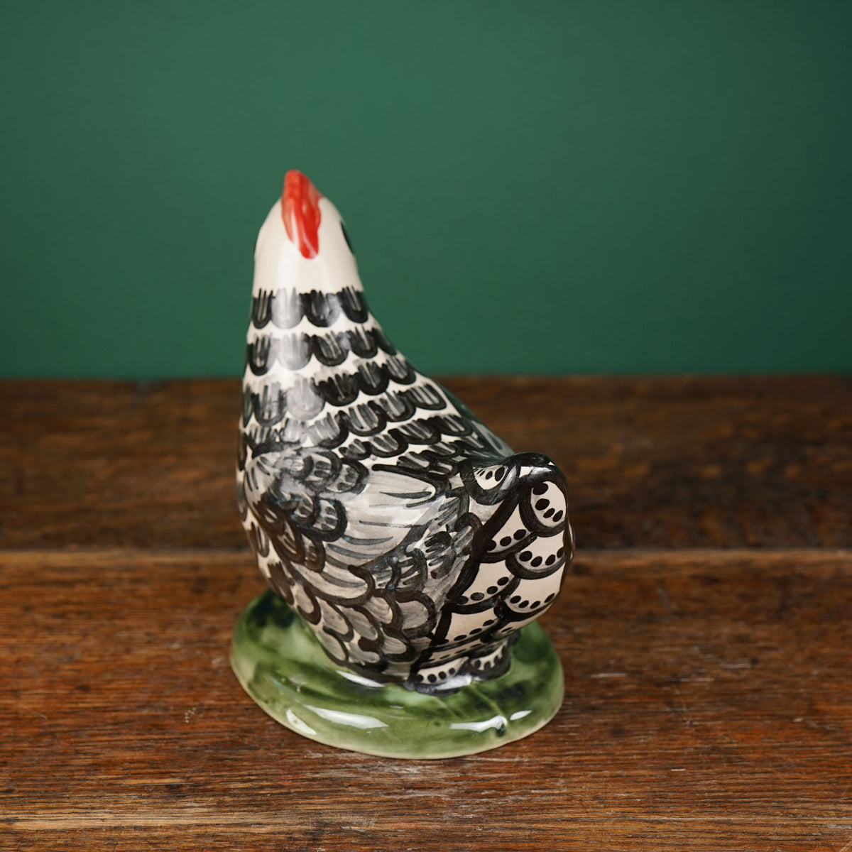 Black Feather Laying Chicken