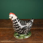 Black Feather Laying Chicken