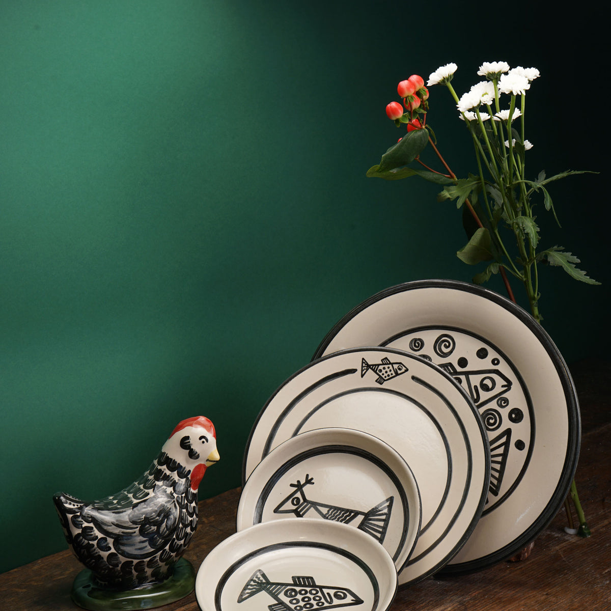 Black Feather Laying Chicken