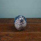 Bobwhite Quail