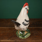 White Feather Rooster