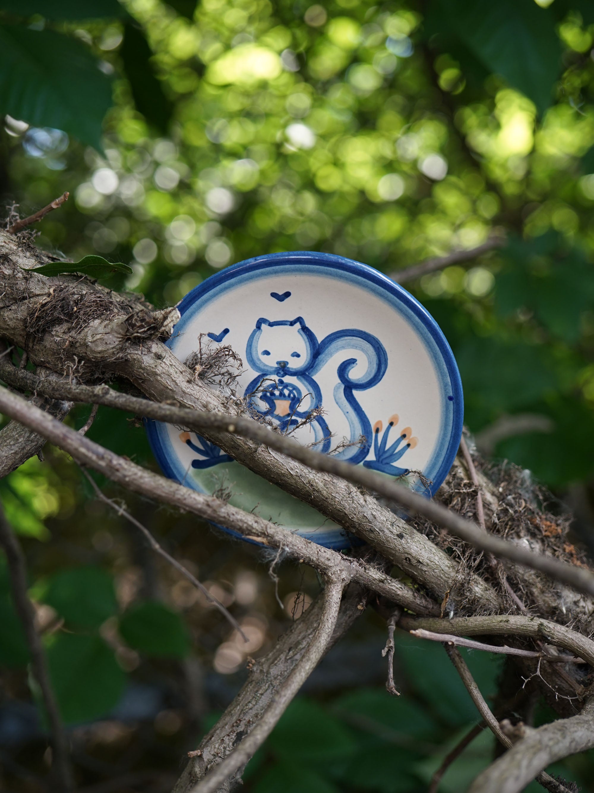 Woodland Squirrel